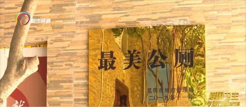 昆明 最美公廁 你猜在哪